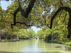 -西溪国家湿地公园