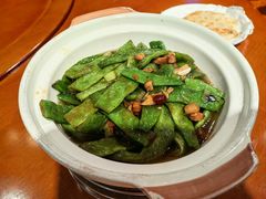 -蒙古大营(朝阳公园店)