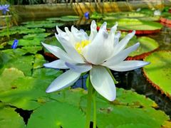 -国家植物园南园