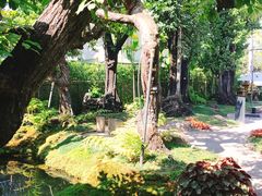 -Chom Cafe and Restaurant