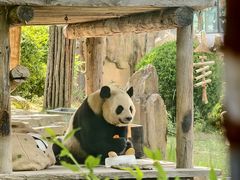 -大连森林动物园