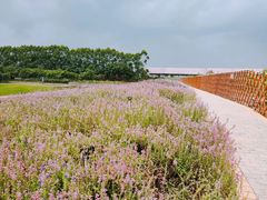 -迪茵湖田家舍生态农场