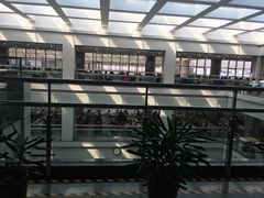 -青岛市图书馆
