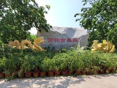-御林古桑园