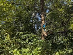 -西部长青自然儿童乐园