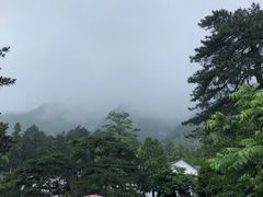 -九华山风景区