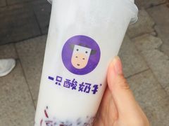 -一只酸奶牛(八一路店)
