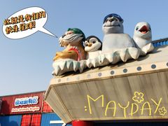 -海合安武汉极地海洋公园