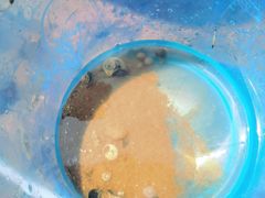 -东戴河风景区-止锚湾