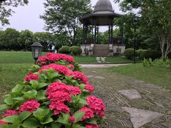 -上海影视乐园