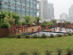 -香港大学
