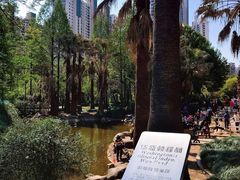 -苏州河梦清园环保主题公园