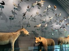 -中国湿地博物馆