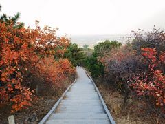 -北京西山国家森林公园