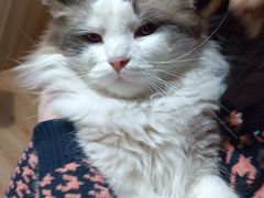 -白兔子密室(长寿路店)