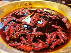 -小龙坎火锅(春熙太古里店)