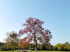 -合肥三国新城遗址公园