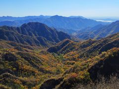 -大岭沟猕猴桃谷风景区