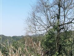 -长沙黑麋峰国家森林公园
