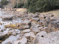 -南翔镇银翔湖公园