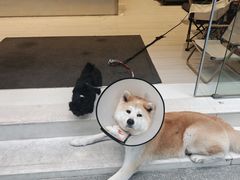 -YCHL Studios健身工作室(市二宫店)