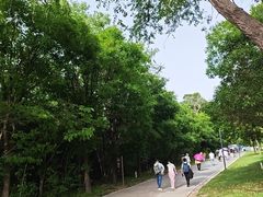 -秦始皇帝陵博物院-丽山园