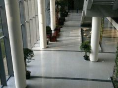 android_upload_pic-中共上海市委党校 上海行政学院