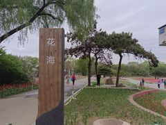 -北陵公园