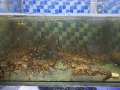 -蔚海之都·象山蒸汽海鲜(仙霞路店)