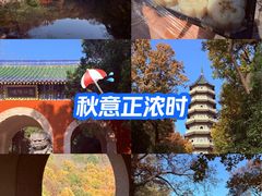 -灵谷景区