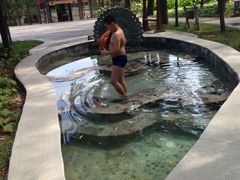 -南宫温泉水世界