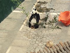 -沈阳森林动物园