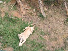 -泉州海丝野生动物世界