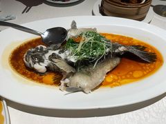 古法蒸笋壳鱼-维园悦谱·海派家常菜(乌鲁木齐南路店)