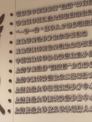 -中国福利会国际和平妇幼保健院(徐汇院区)