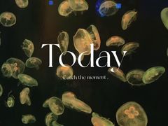 -长春中泰海洋世界