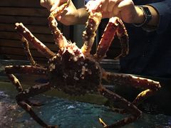 -蟹之国·精品蟹料理(极地店)