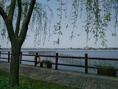 -鹅湖玫瑰文化园