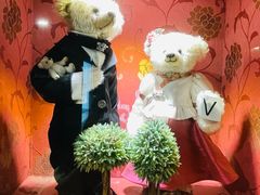 -济州岛泰迪熊博物馆