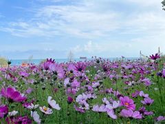 -青海湖二郎剑景区