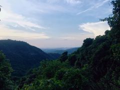 -梧桐山风景名胜区