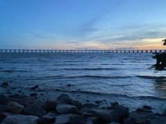 -宝安西湾红树林湿地公园