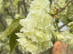 -江南大学(蠡湖校区)