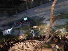 -自贡恐龙博物馆