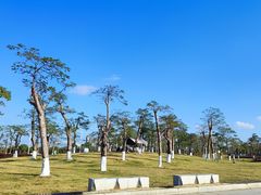 -芒洲湿地公园