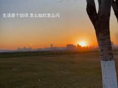 -汉长安城未央宫国家考古遗址公园