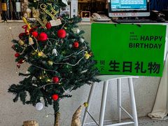 -春树下·树屋花房西餐厅(罍街AS1980店)