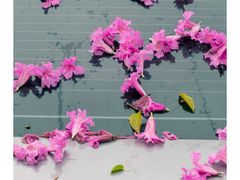 -文华公园(禅城区)