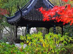 -上海醉白池公园