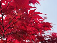 -白塘生态植物园